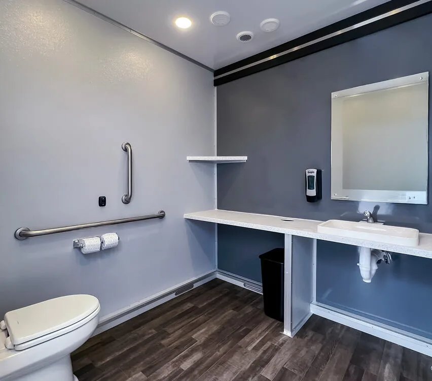 ADA stall with mirror and assist bars.