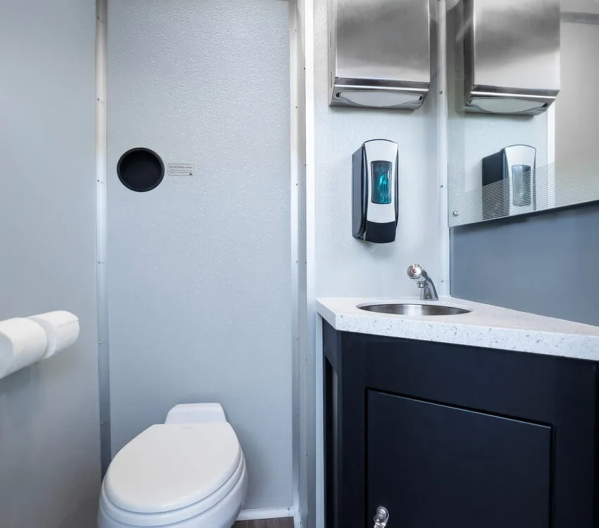 Private stall with toilet and vanity.