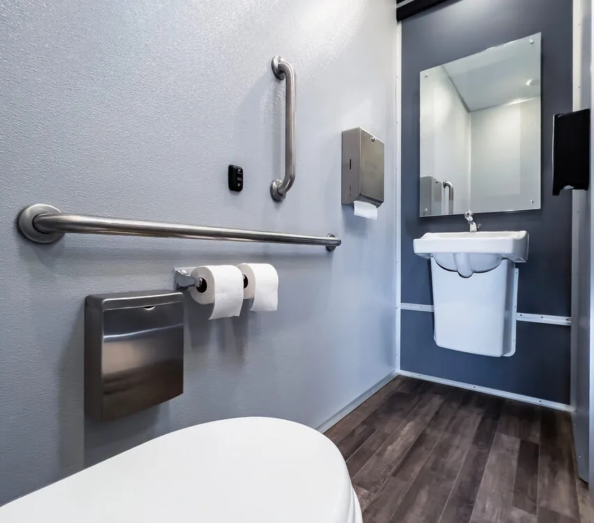 ADA toilet with assist bars and porcelain sink.